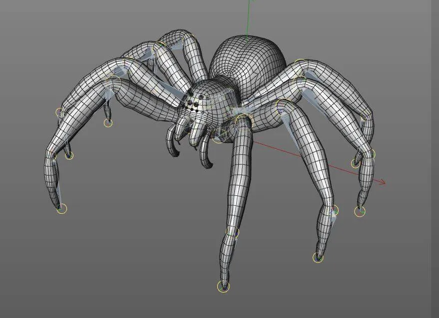 22353 tarantula exoskeleton