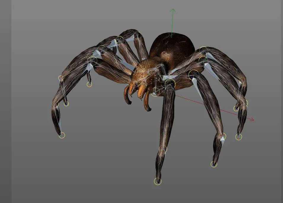 22353 tarantula hunting