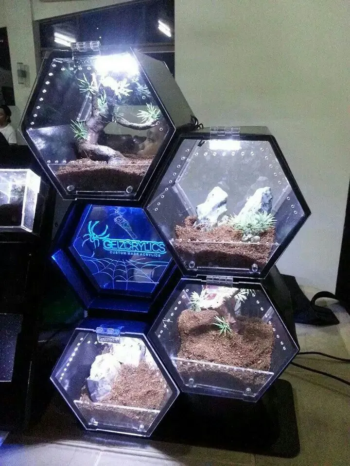 22369 tarantula enclosure overview
