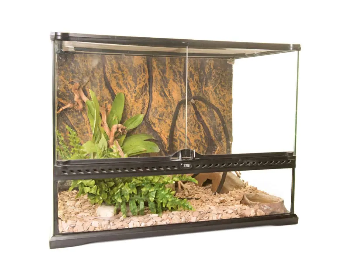 22372 gta 5 tarantula enclosure 5